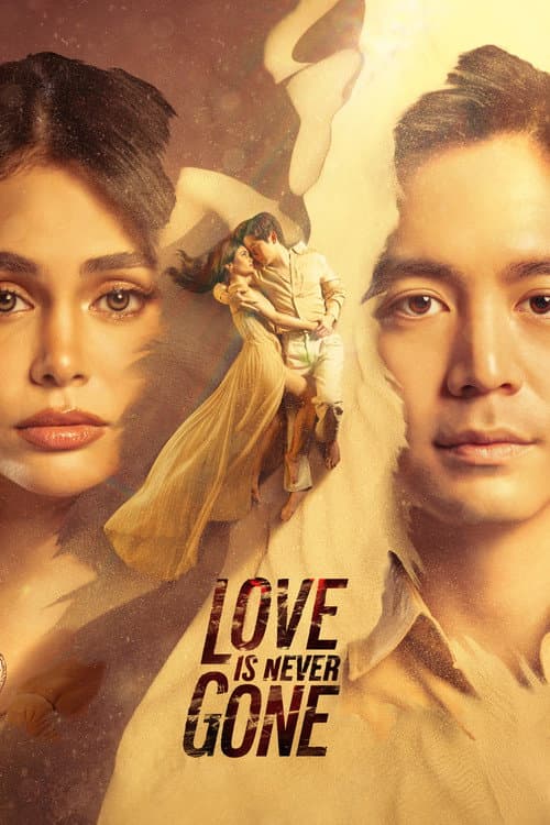 Affiche de Love Is Never Gone