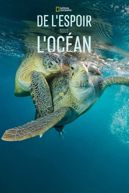 Affiche de De l'espoir sous l'océan