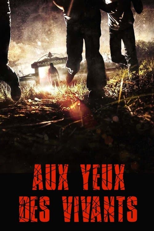 Affiche de Aux yeux des vivants