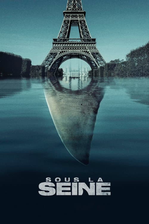 Affiche de Sous la Seine
