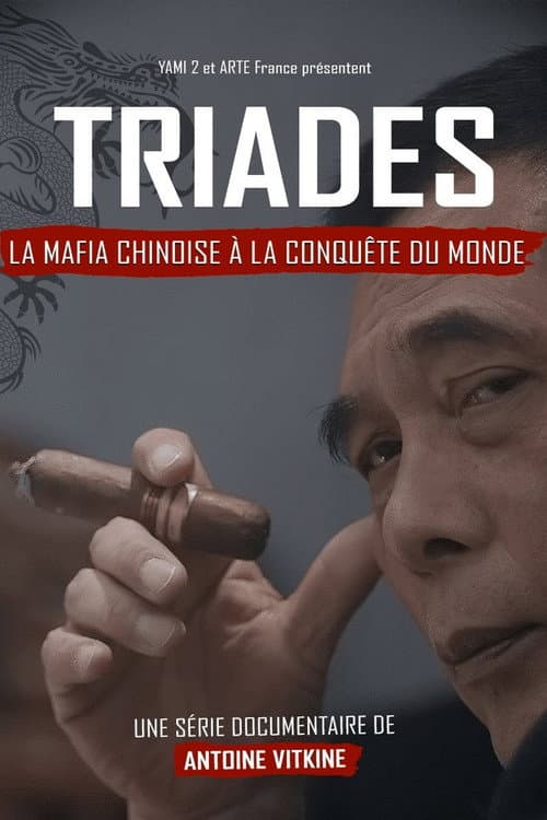 Affiche de Triades : la Mafia chinoise à la conquête du monde