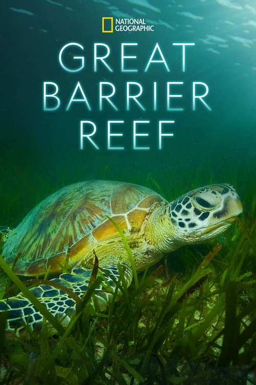 Affiche de Great Barrier Reef