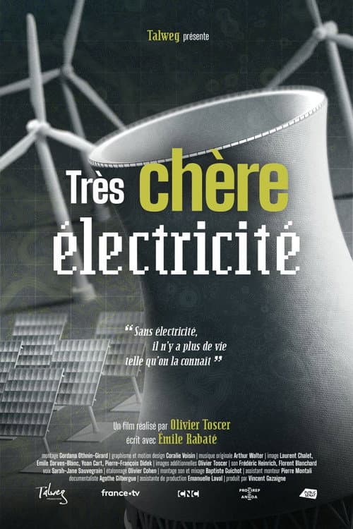 Affiche de Très chère électricité