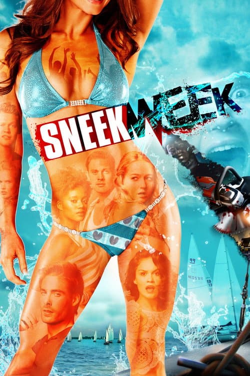 Affiche de Sneekweek