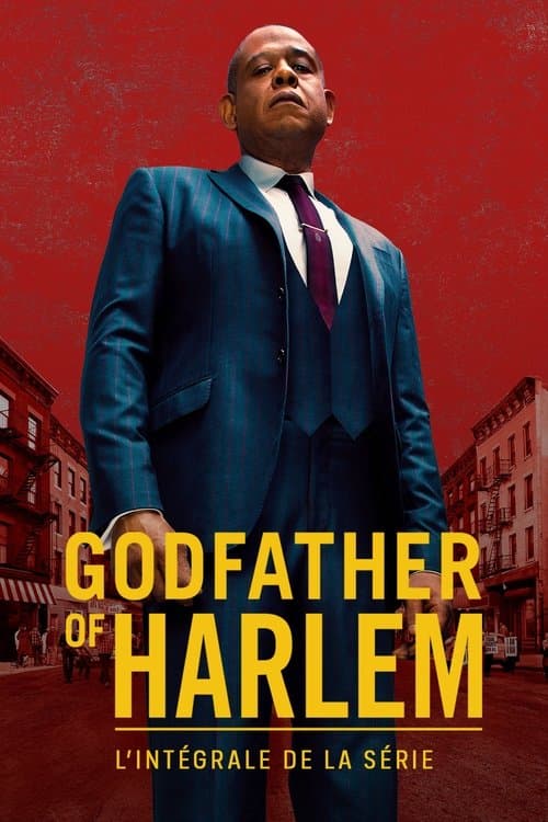 Affiche de Godfather of Harlem