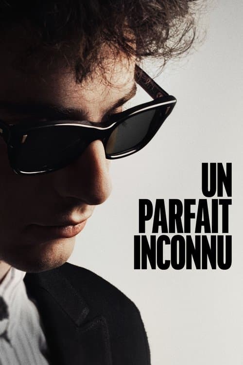 Affiche de Un parfait inconnu