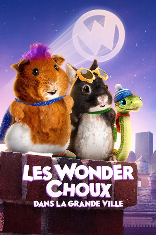 Affiche de Les Wonder Choux dans la grande ville