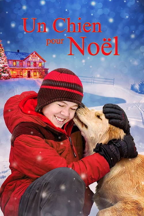 Affiche de Un chien pour Noël