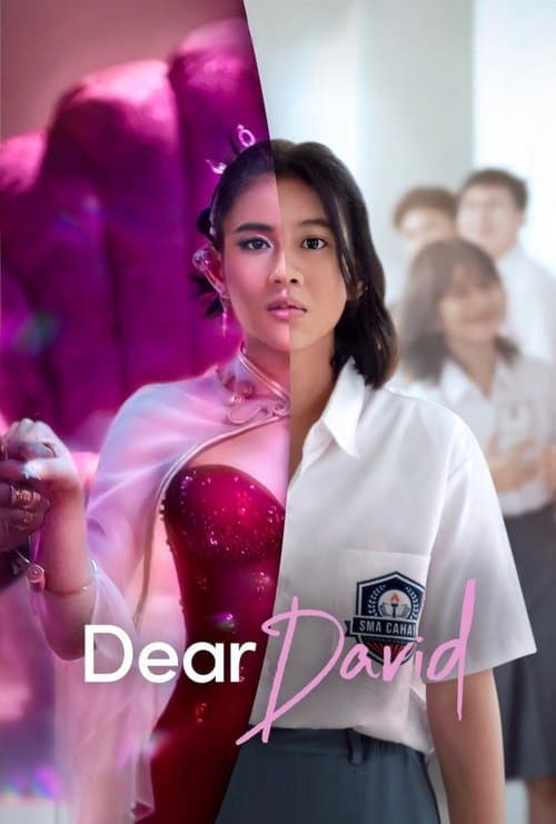 Affiche de Dear David