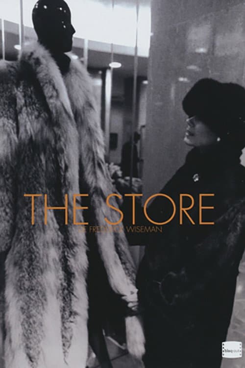 Affiche de The Store