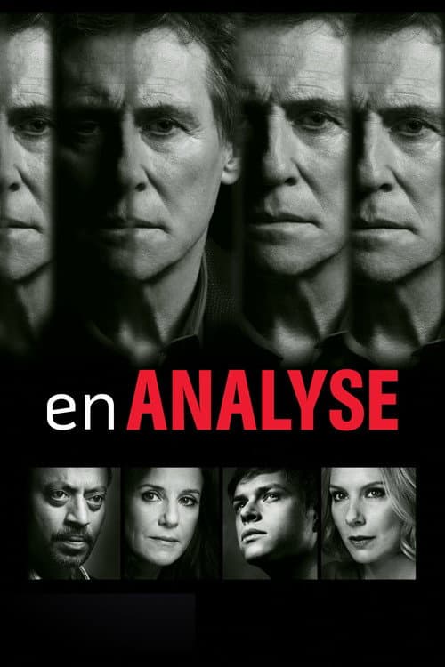 Affiche de En analyse