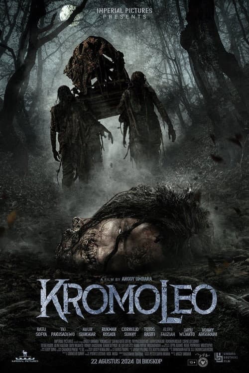 Affiche de Kromoleo