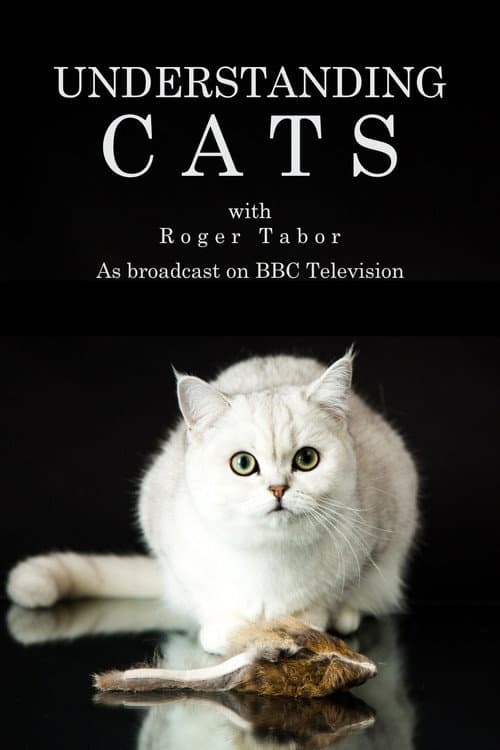 Affiche de Understanding Cats