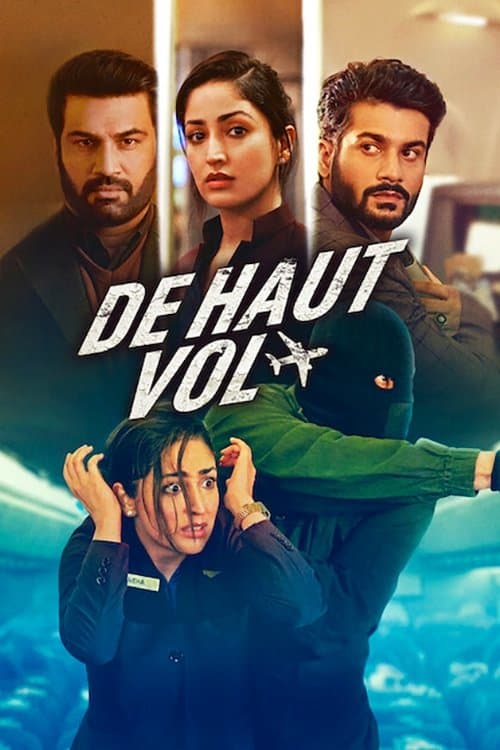 Affiche de De haut vol