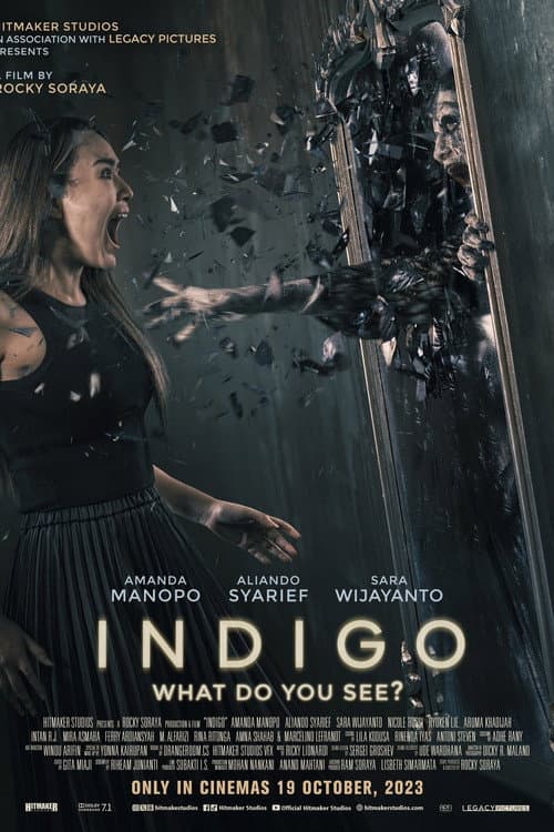 Affiche de Indigo