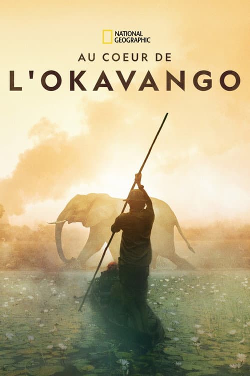 Affiche de Au cœur de l'Okavango