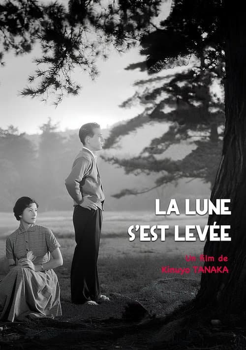 Affiche de La lune s'est levée