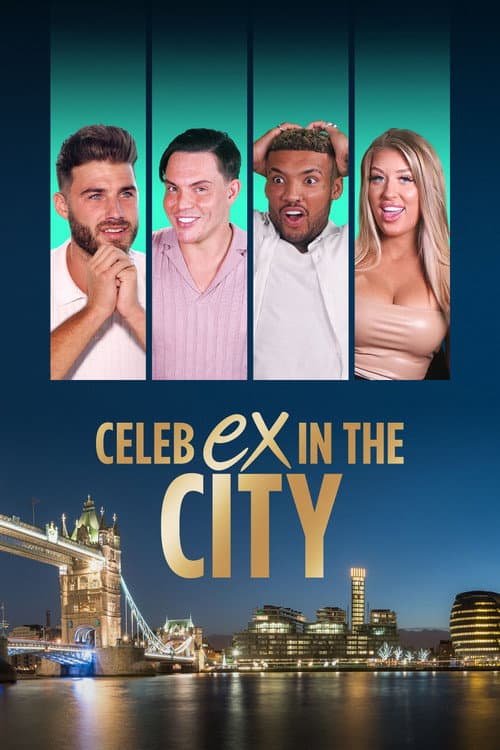 Affiche de Celeb Ex in the City