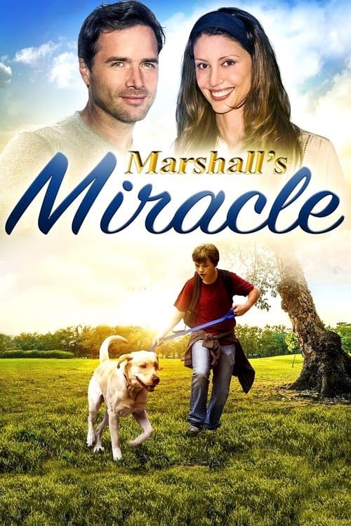 Affiche de Marshall, Le Miracle de la Vie
