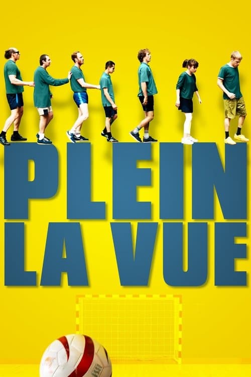 Affiche de Plein la vue