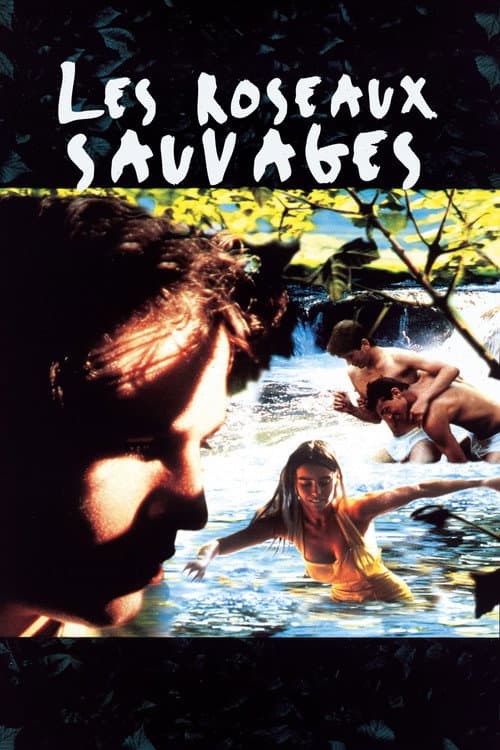 Affiche de Les Roseaux sauvages