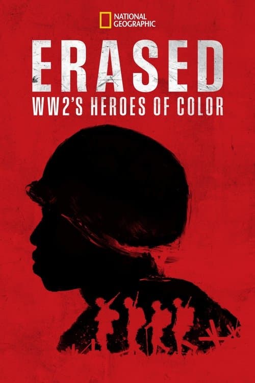 Affiche de Erased: WW2's Heroes of Color