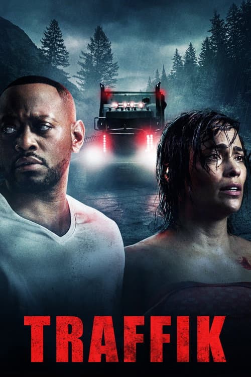 Affiche de Traffik