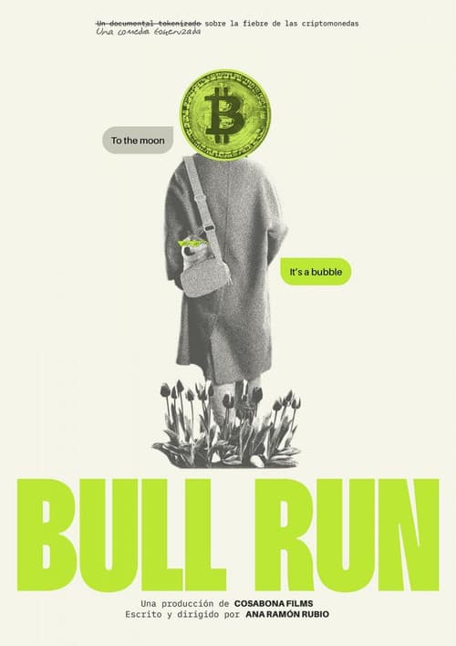 Affiche de Bull Run