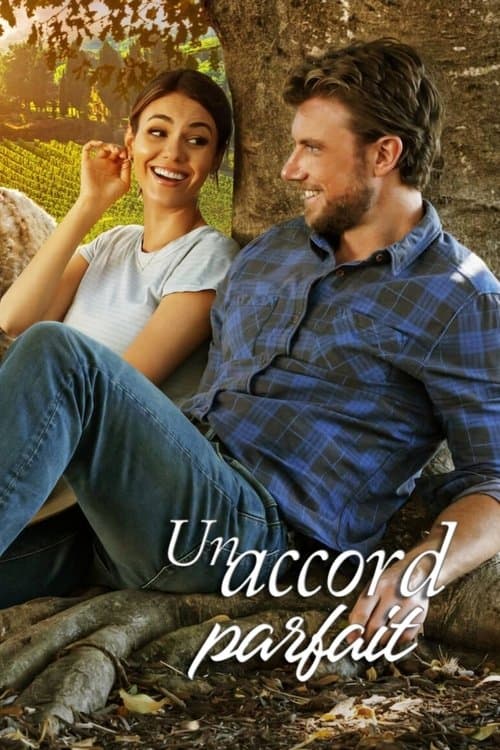 Affiche de Un accord parfait
