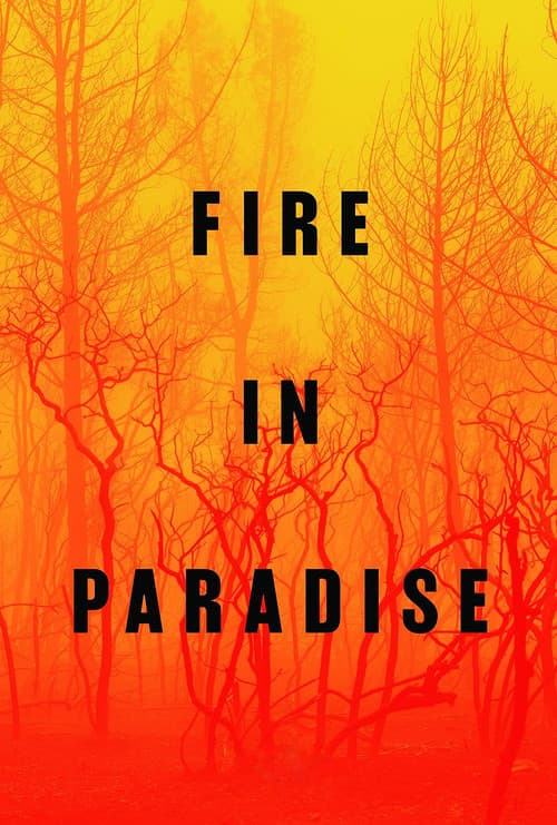 Affiche de Paradise en flammes