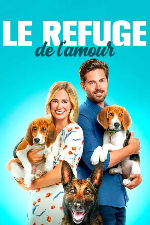 Affiche de Le refuge de l'amour