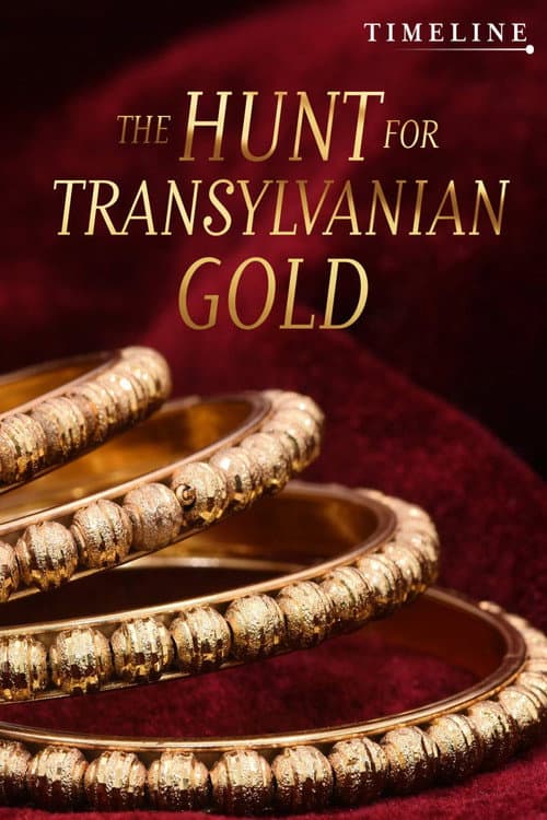 Affiche de The Hunt for Transylvanian Gold
