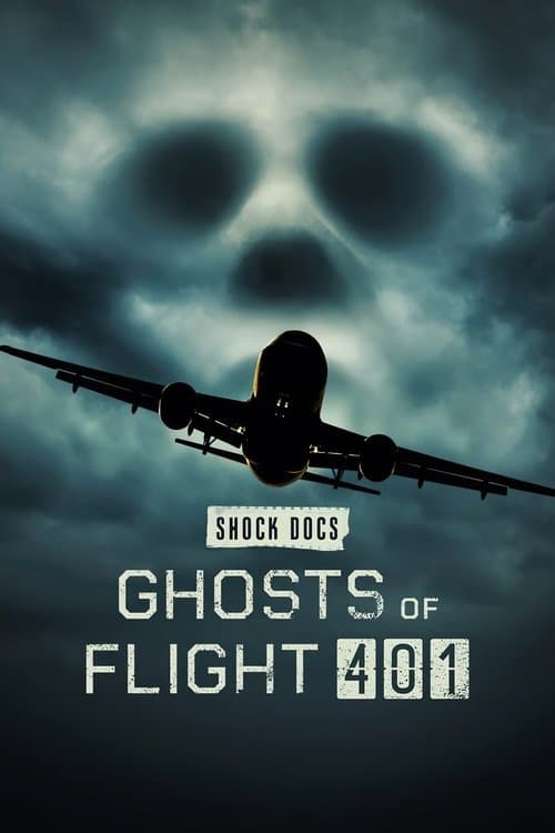 Affiche de Ghosts of Flight 401