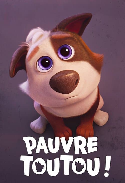 Affiche de Pauvre Toutou !