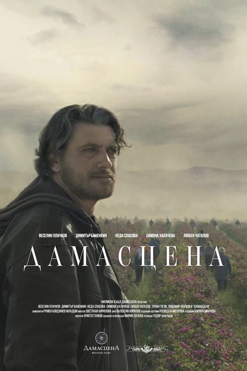 Affiche de Damascena: The Transition