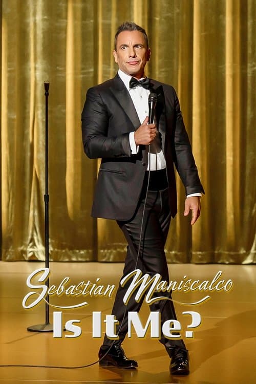 Affiche de Sebastian Maniscalco: Is it Me?