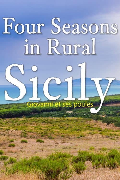 Affiche de Giovanni et ses poules