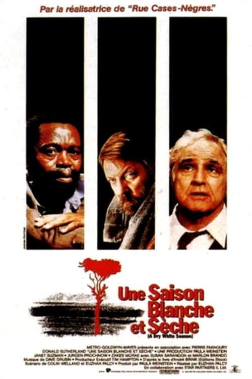 Affiche de Une saison blanche et sèche