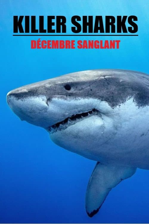 Affiche de Killer Sharks : décembre sanglant