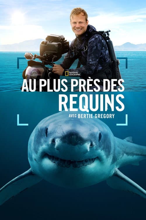 Affiche de Au plus près des requins avec Bertie Gregory