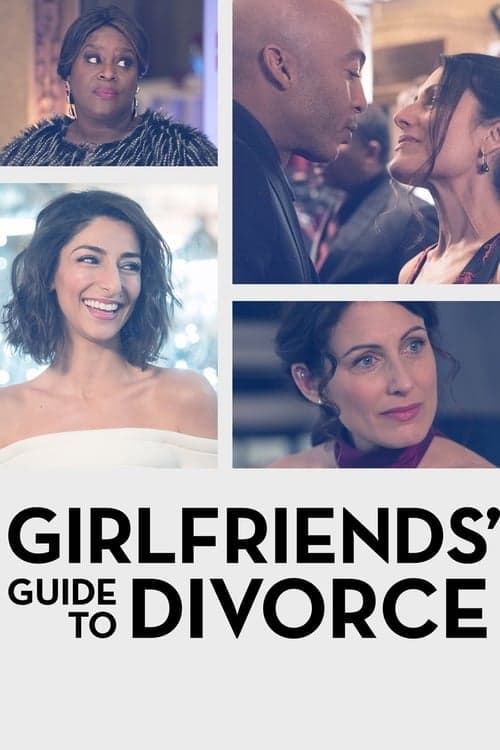 Affiche de Girlfriends' Guide to Divorce