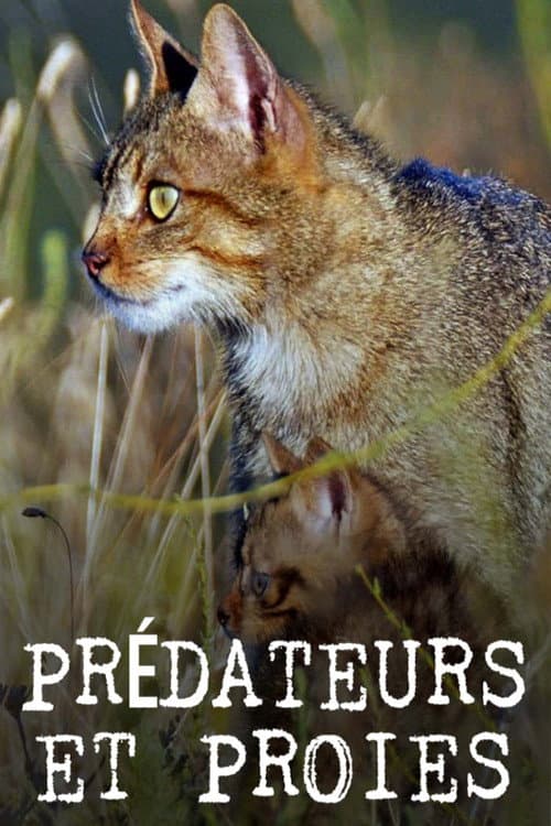 Affiche de Prédateurs et proies - La faune de la péninsule Ibérique