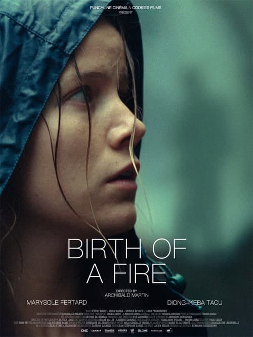 Affiche de Naissance d'un feu