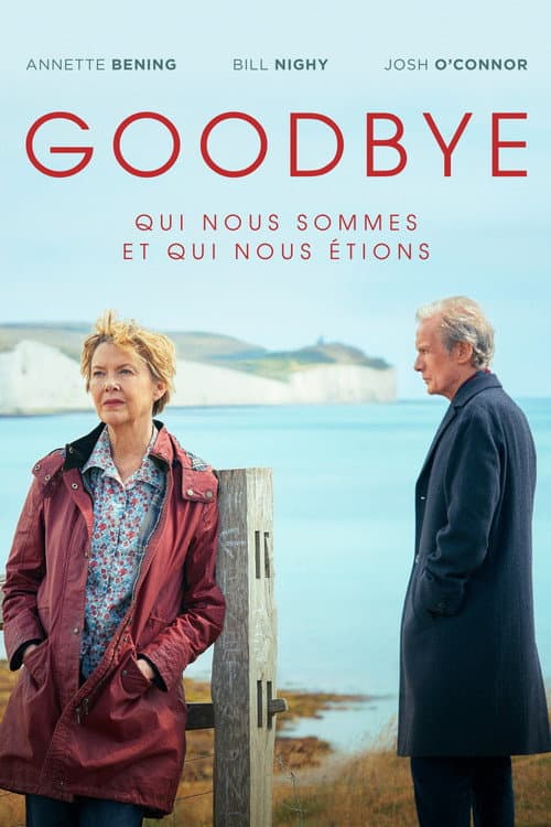 Affiche de Goodbye — Qui nous sommes et qui nous étions