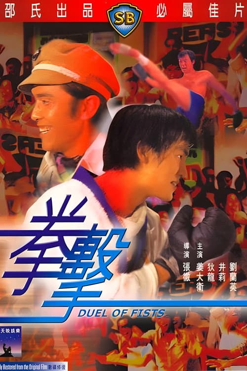 Affiche de Duel aux poings