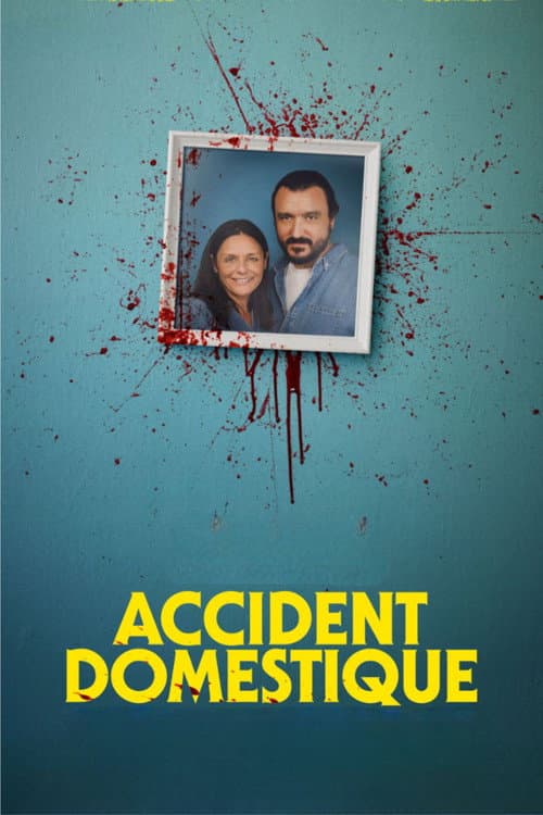Affiche de Accident domestique