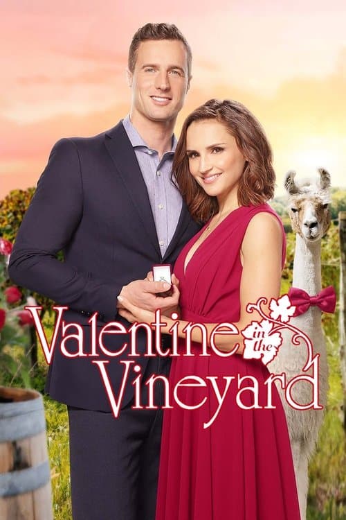 Affiche de Une idylle de Saint-Valentin