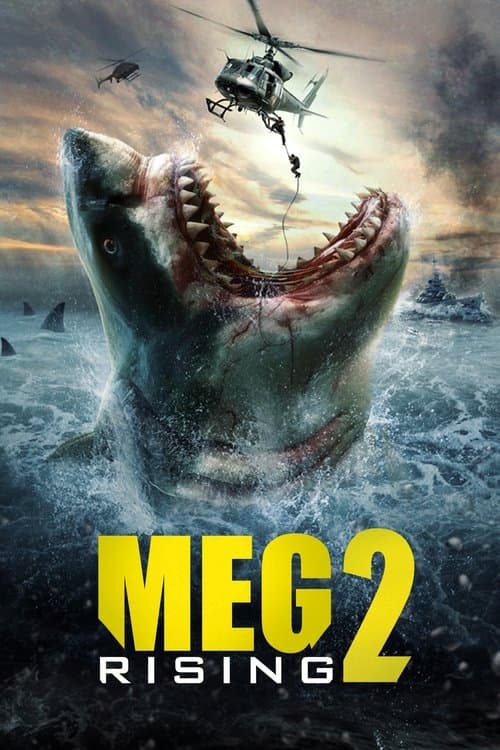 Affiche de Meg Rising 2