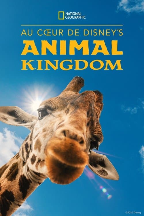 Affiche de Au cœur de Disney's Animal Kingdom