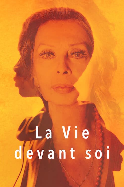 Affiche de La Vie devant soi